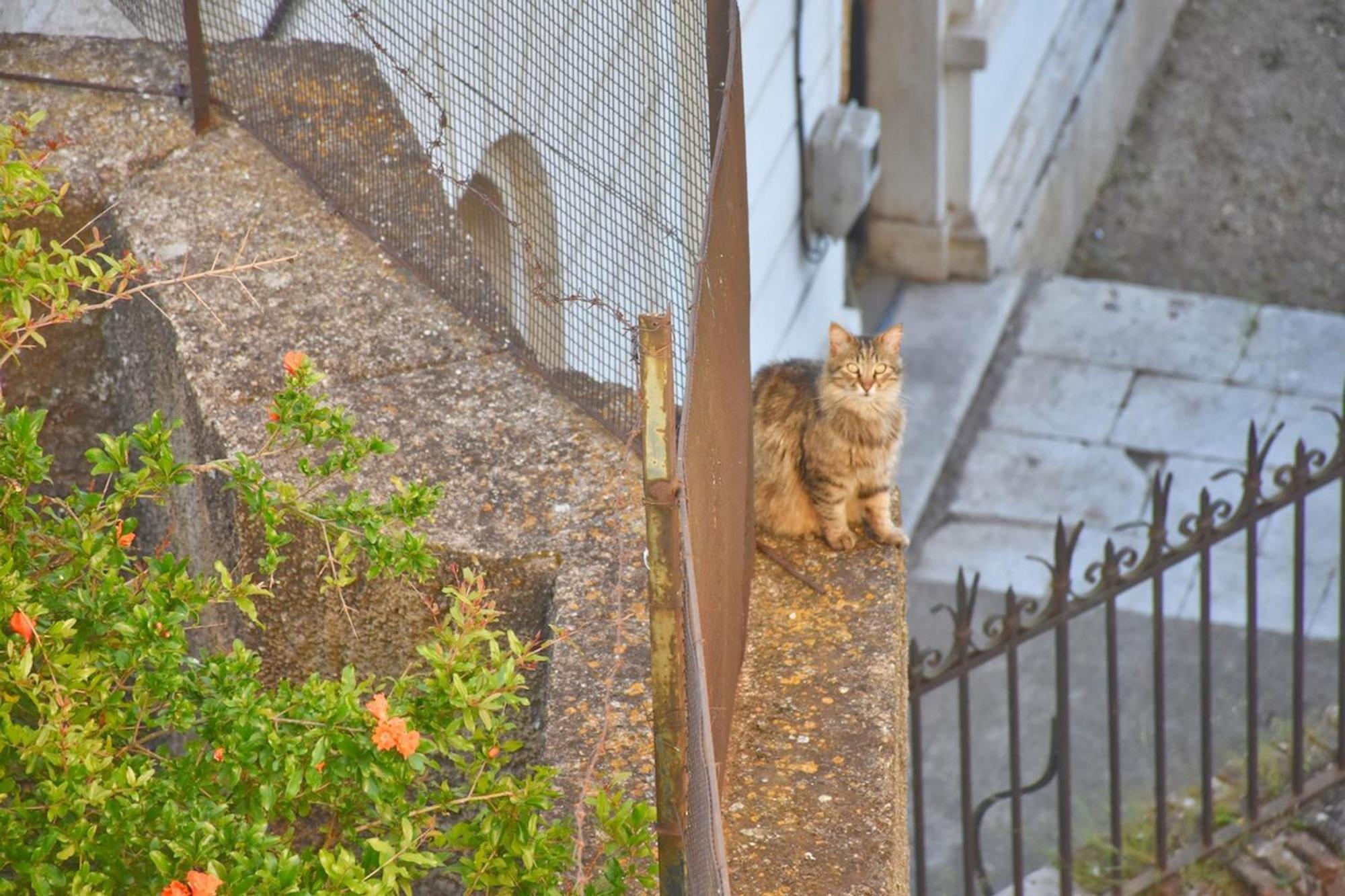 Apartment Mouragia Corfu Corfu (city)